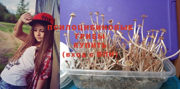 кокаин премиум Новозыбков