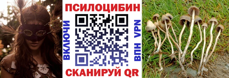наркота  Усть-Илимск  OMG рабочий сайт  Галлюциногенные грибы мухоморы 
